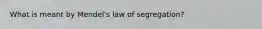 What is meant by Mendel's law of segregation?