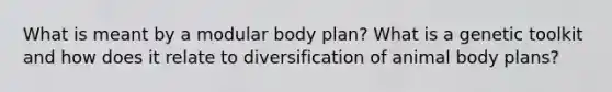 What is meant by a modular body plan? What is a genetic toolkit and how does it relate to diversification of animal body plans?