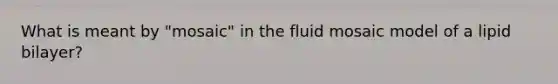 What is meant by "mosaic" in the fluid mosaic model of a lipid bilayer?