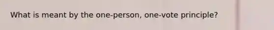 What is meant by the one-person, one-vote principle?