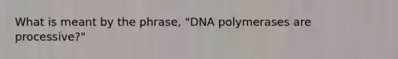 What is meant by the phrase, "DNA polymerases are processive?"