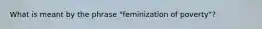 What is meant by the phrase "feminization of poverty"?