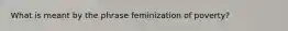 What is meant by the phrase feminization of poverty?