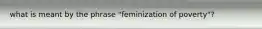 what is meant by the phrase "feminization of poverty"?