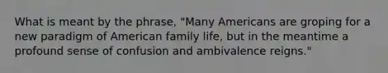 What is meant by the phrase, "Many Americans are groping for a new paradigm of American family life, but in the meantime a profound sense of confusion and ambivalence reigns."