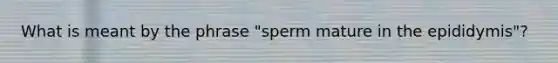 What is meant by the phrase "sperm mature in the epididymis"?