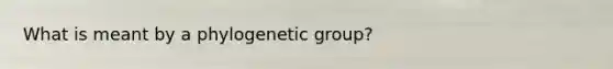 What is meant by a phylogenetic group?