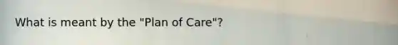 What is meant by the "Plan of Care"?