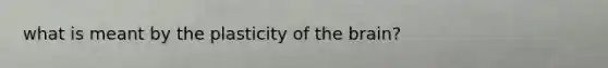what is meant by the plasticity of the brain?