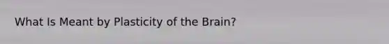 What Is Meant by Plasticity of the Brain?