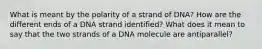 What is meant by the polarity of a strand of DNA? How are the different ends of a DNA strand identified? What does it mean to say that the two strands of a DNA molecule are antiparallel?