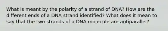 What is meant by the polarity of a strand of DNA? How are the different ends of a DNA strand identified? What does it mean to say that the two strands of a DNA molecule are antiparallel?