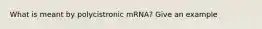 What is meant by polycistronic mRNA? Give an example