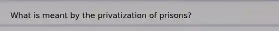 What is meant by the privatization of prisons?