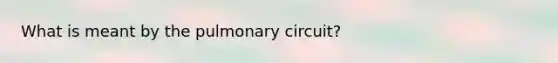 What is meant by the pulmonary circuit?