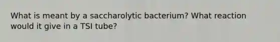 What is meant by a saccharolytic bacterium? What reaction would it give in a TSI tube?