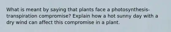 What is meant by saying that plants face a photosynthesis-transpiration compromise? Explain how a hot sunny day with a dry wind can affect this compromise in a plant.