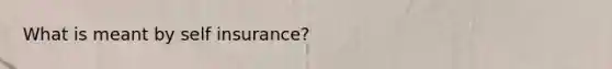 What is meant by self insurance?