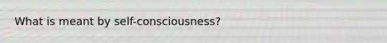 What is meant by self-consciousness?