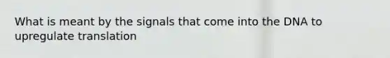What is meant by the signals that come into the DNA to upregulate translation