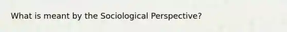 What is meant by the Sociological Perspective?