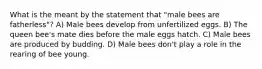 What is the meant by the statement that "male bees are fatherless"? A) Male bees develop from unfertilized eggs. B) The queen bee's mate dies before the male eggs hatch. C) Male bees are produced by budding. D) Male bees don't play a role in the rearing of bee young.