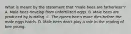 What is meant by the statement that "male bees are fatherless"? A. Male bees develop from unfertilized eggs. B. Male bees are produced by budding. C. The queen bee's mate dies before the male eggs hatch. D. Male bees don't play a role in the rearing of bee young.