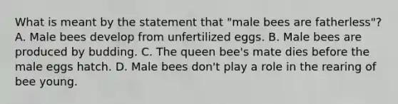 What is meant by the statement that "male bees are fatherless"? A. Male bees develop from unfertilized eggs. B. Male bees are produced by budding. C. The queen bee's mate dies before the male eggs hatch. D. Male bees don't play a role in the rearing of bee young.