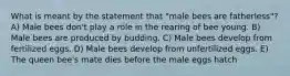 What is meant by the statement that "male bees are fatherless"? A) Male bees don't play a role in the rearing of bee young. B) Male bees are produced by budding. C) Male bees develop from fertilized eggs. D) Male bees develop from unfertilized eggs. E) The queen bee's mate dies before the male eggs hatch