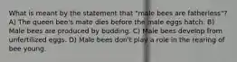 What is meant by the statement that "male bees are fatherless"? A) The queen bee's mate dies before the male eggs hatch. B) Male bees are produced by budding. C) Male bees develop from unfertilized eggs. D) Male bees don't play a role in the rearing of bee young.