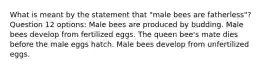 What is meant by the statement that "male bees are fatherless"? Question 12 options: Male bees are produced by budding. Male bees develop from fertilized eggs. The queen bee's mate dies before the male eggs hatch. Male bees develop from unfertilized eggs.