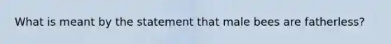 What is meant by the statement that male bees are fatherless?