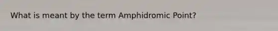 What is meant by the term Amphidromic Point?