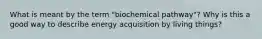 What is meant by the term "biochemical pathway"? Why is this a good way to describe energy acquisition by living things?