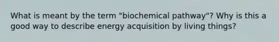 What is meant by the term "biochemical pathway"? Why is this a good way to describe energy acquisition by living things?