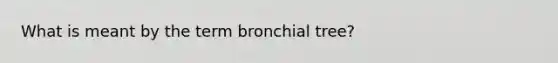 What is meant by the term bronchial tree?