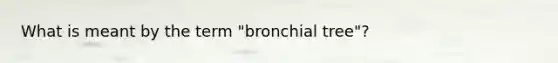 What is meant by the term "bronchial tree"?