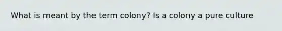 What is meant by the term colony? Is a colony a pure culture