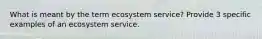 What is meant by the term ecosystem service? Provide 3 specific examples of an ecosystem service.