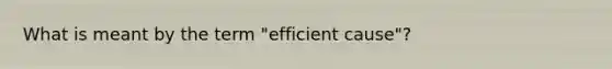 What is meant by the term "efficient cause"?