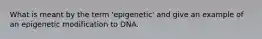 What is meant by the term 'epigenetic' and give an example of an epigenetic modification to DNA.