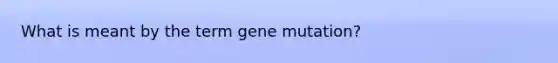 What is meant by the term gene mutation?