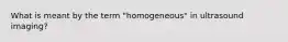 What is meant by the term "homogeneous" in ultrasound imaging?