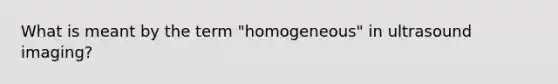 What is meant by the term "homogeneous" in ultrasound imaging?