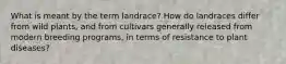 What is meant by the term landrace? How do landraces differ from wild plants, and from cultivars generally released from modern breeding programs, in terms of resistance to plant diseases?