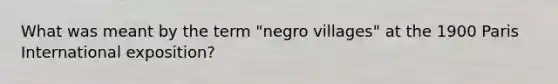 What was meant by the term "negro villages" at the 1900 Paris International exposition?