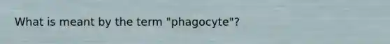 What is meant by the term "phagocyte"?