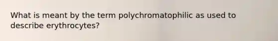 What is meant by the term polychromatophilic as used to describe erythrocytes?