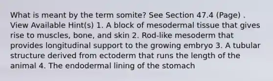 What is meant by the term somite? See Section 47.4 (Page) . View Available Hint(s) 1. A block of meso<a href='https://www.questionai.com/knowledge/kRKdINDJId-dermal-tissue' class='anchor-knowledge'>dermal tissue</a> that gives rise to muscles, bone, and skin 2. Rod-like mesoderm that provides longitudinal support to the growing embryo 3. A tubular structure derived from ectoderm that runs the length of the animal 4. The endodermal lining of <a href='https://www.questionai.com/knowledge/kLccSGjkt8-the-stomach' class='anchor-knowledge'>the stomach</a>