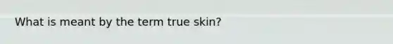 What is meant by the term true skin?